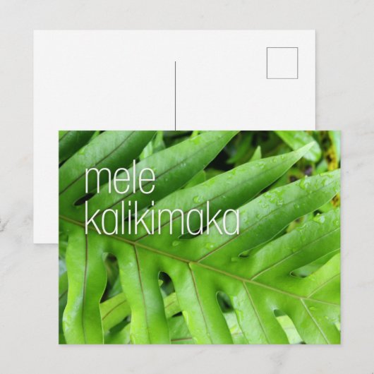 Carte de vœux de Noël Mele Kalikimaka Joyeux Noël (Devant / Derrière)