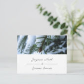 Carte de Voeux de Noël, Photo de branche de sapin (Debout devant)