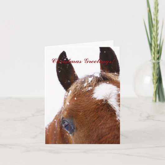 Carte de voeux de Noël pour Cheval d'hiver (Devant)