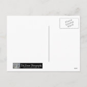 Carte de vœux de Noël Tiger Snow Angel (Dos)