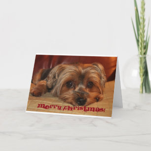Carte de voeux de Noël Yorkshire Terrier