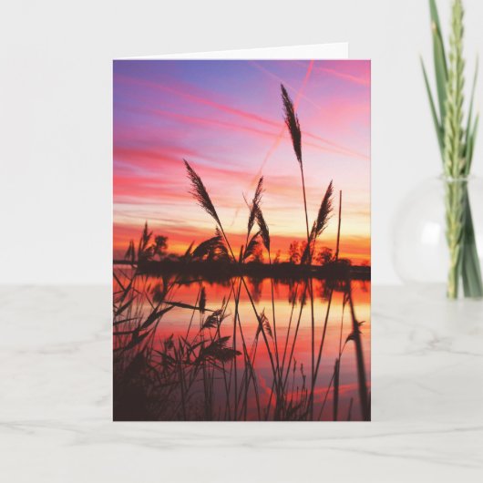 Carte de voeux de note blanche (Devant)