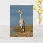 Carte de voeux de note ou de blanc de héron de (Fleur jaune)