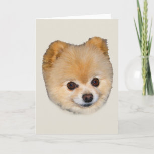 Carte de voeux de note ou de chien de Pomeranian