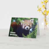 Carte de voeux de panda rouge (Fleur jaune)