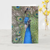 Carte de voeux de paon (Fleur jaune)