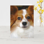 Carte de voeux de Papillon (Fleur jaune)