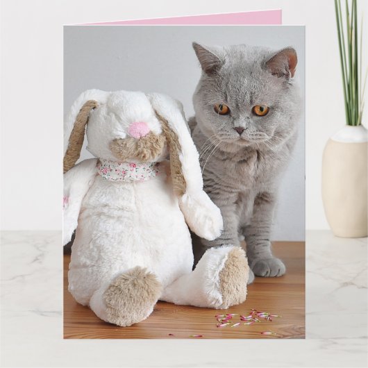CARTE DE VOEUX DE PÂQUES CHAT (Devant)