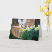 Carte de vœux de Pâques Corgi dans un panier (Fleur jaune)