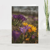 Carte de voeux de Pâques pliée Crocus Spring (Devant)