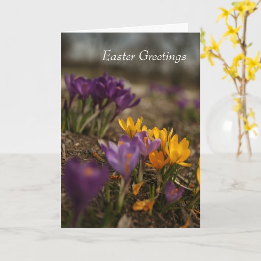 Carte de voeux de Pâques pliée Crocus Spring (Fleur jaune)