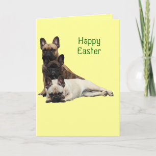 Carte de vœux de Pâques pour bouledogue français