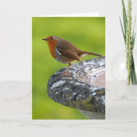 Carte de voeux de patron de yard (Devant)