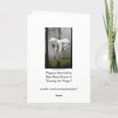 Carte de voeux de "PEGASUS AU SOLEIL" (Dos)