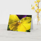 Carte de voeux de pensée - blanc (Fleur jaune)