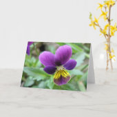 Carte de voeux de pensée sauvage (Fleur jaune)