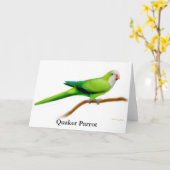 Carte de voeux de perroquet de quaker (Fleur jaune)