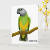 Carte de voeux de perroquet Sénégal (Fleur jaune)