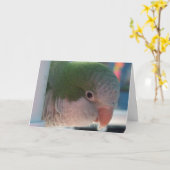 Carte de voeux de perruche de quaker (Fleur jaune)