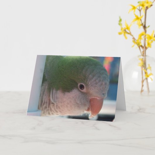 Carte de voeux de perruche de quaker (Fleur jaune)