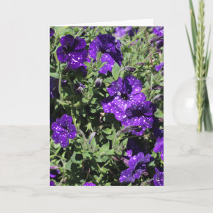 Carte de voeux de pétunia de nuit étoilée