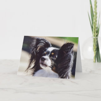 Carte de voeux de photo de chien de "Papillon"