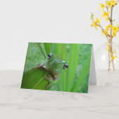 Carte de voeux de photo de grenouille (Fleur jaune)