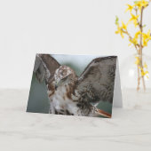 Carte de voeux de photo d'oiseau "de faucon rouge (Fleur jaune)