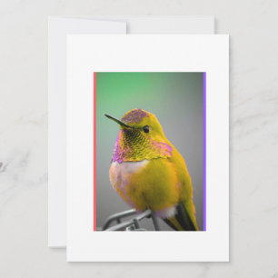 Carte de vœux de photographie de colibri coloré