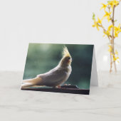 Carte de voeux de photographie d'oiseau de (Fleur jaune)