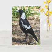 Carte de voeux de pie australienne (Fleur jaune)