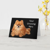 Carte de voeux de Pomeranian (Fleur jaune)