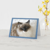 Carte de voeux de portrait de chat de Ragdoll (Fleur jaune)