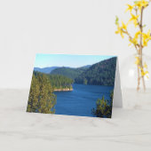 Carte de voeux   de puma (Fleur jaune)