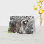Carte de voeux de Racoon, intérieur vide (Fleur jaune)