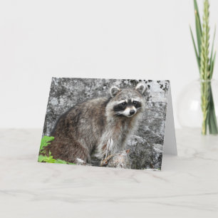 Carte de voeux de Racoon, intérieur vide