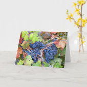 Carte de voeux de récolte de Napa Valley (Fleur jaune)