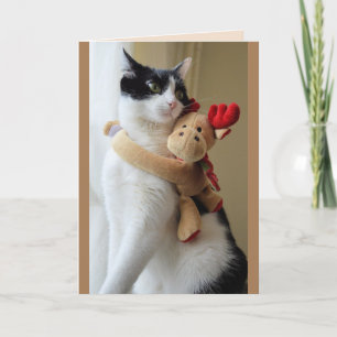carte de voeux de rennes et de chats
