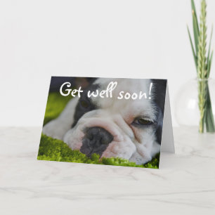 Carte de vœux de rétablissement avec un joli chien