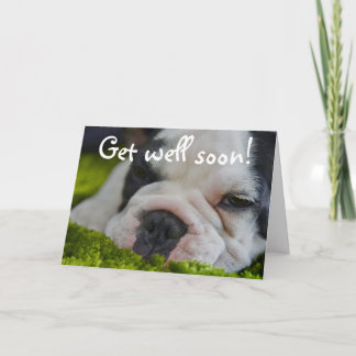 Carte de vœux de rétablissement avec un joli chien