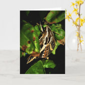 Carte de vœux de rétablissement "Basking Moth" (Fleur jaune)