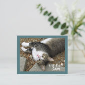 Carte de vœux de rétablissement Chat tigré aux yeu (Debout devant)