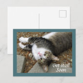 Carte de vœux de rétablissement Chat tigré aux yeu (Devant / Derrière)