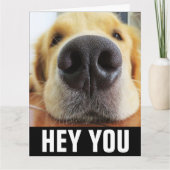 CARTE DE VŒUX DE RÉTABLISSEMENT CHIEN VIBRATIONS D (Devant)