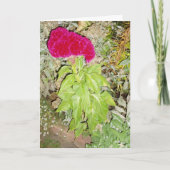 Carte de vœux de rétablissement "Cockscomb" (Devant)