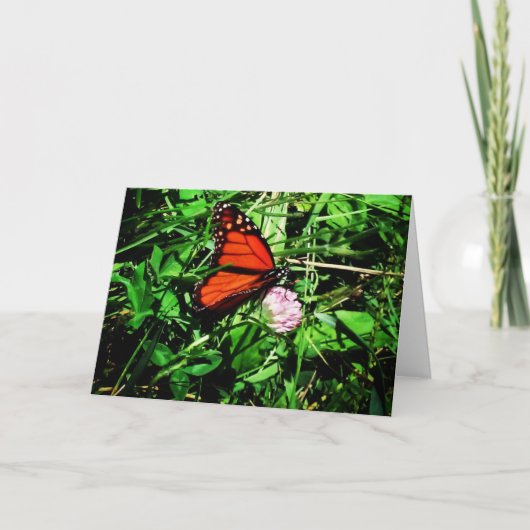 Carte de vœux de rétablissement "Papillon monarque (Devant)