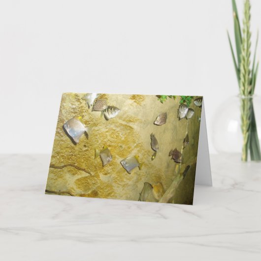 Carte de vœux de rétablissement "Poissons tropicau (Devant)