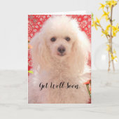 Carte de vœux de rétablissement pour toy caniche (Fleur jaune)