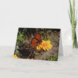 Carte de vœux de rétablissement "Upon A Marigold"