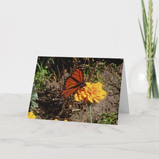 Carte de vœux de rétablissement "Upon A Marigold" (Devant)